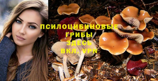 ALPHA PVP Армянск