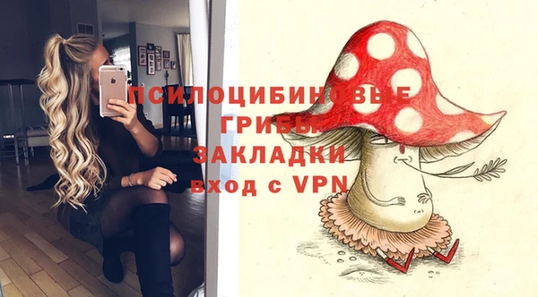 дурь Аркадак