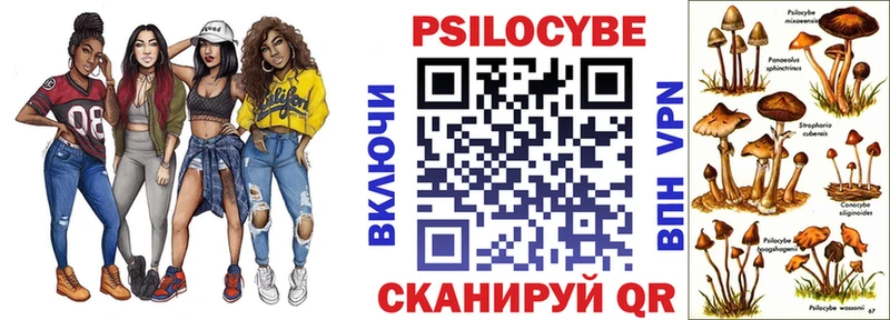 Купить где  Отрадная  Псилоцибиновые грибы Psilocybine cubensis 